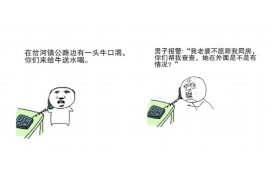 聊城专业讨债公司有哪些核心服务？